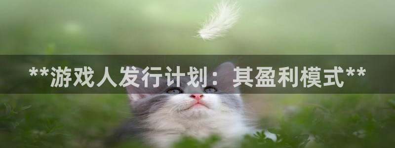 新航娱乐背后的老板：**游戏人发行计划：其盈利模式**