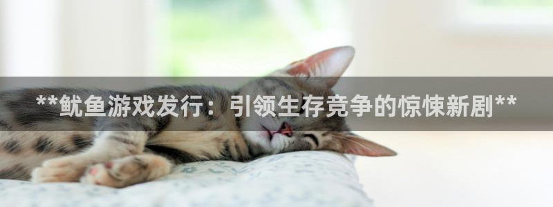 新航娱乐的创始人简介是谁：**鱿鱼游戏发行：引领生存竞争的惊悚新剧**