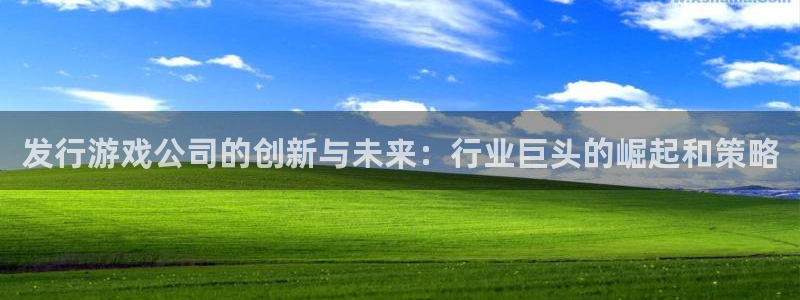 新航娱乐账号注册和账号详情：发行游戏公司的创新与未来：行业巨头的崛起和策略