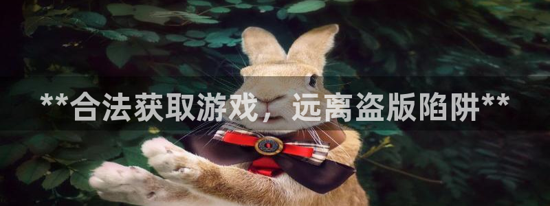 新航娱乐平台用户评价及反馈：**合法获取游戏，远离盗版陷阱**