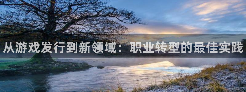 新航娱乐招商率合作 485624 怎么样：从游戏发行到新领域：职业转型的最佳实践