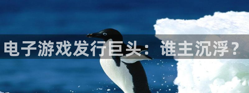新航娱乐背后的老板是谁：电子游戏发行巨头：谁主沉浮？