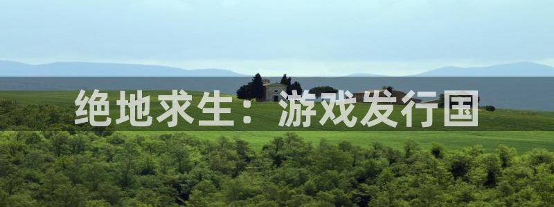 新航娱乐公司旗下艺人：绝地求生：游戏发行国