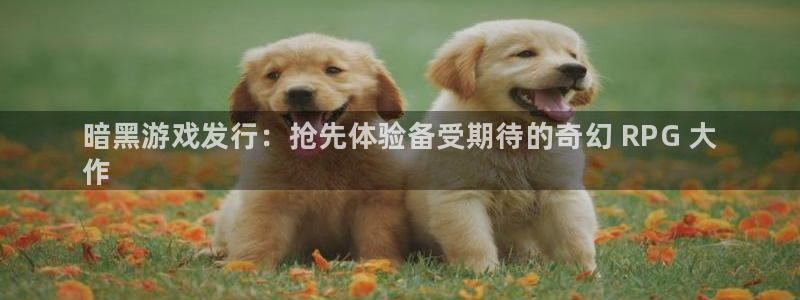 新航娱乐官网下载：暗黑游戏发行：抢先体验备受期待的奇幻 RPG 大
作