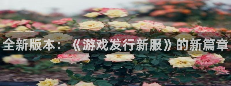 新航娱乐app官方免费下载：全新版本：《游戏发行新服》的新篇章