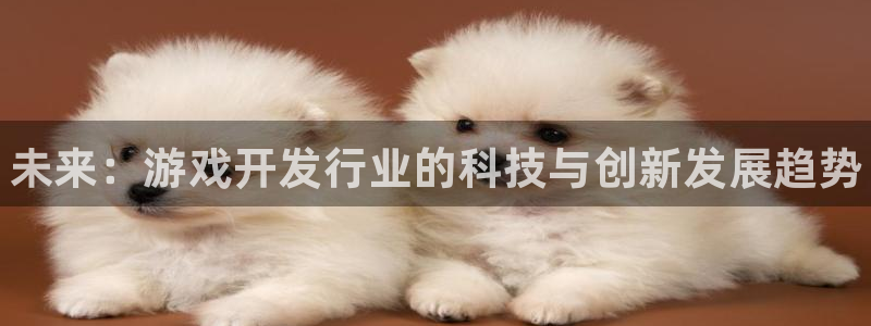 新航娱乐扣费是什么费用啊怎么退：未来：游戏开发行业的科技与创新发展趋势