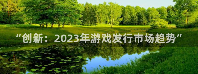 新航娱乐公司扣费流程详解表：“创新：2023年游戏发行市场趋势”