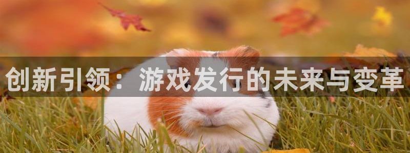 新航娱乐琏7.I.I.2最经典十首歌曲：创新引领：游戏发行的未来与变革