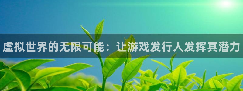 新航娱乐的创始人简介图片：虚拟世界的无限可能：让游戏发行人发挥其潜力