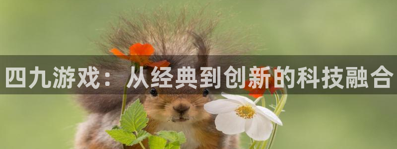 新航娱乐扣款是怎么回事：四九游戏：从经典到创新的科技融合