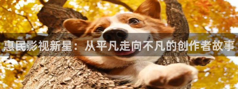 老司机电影免费观看