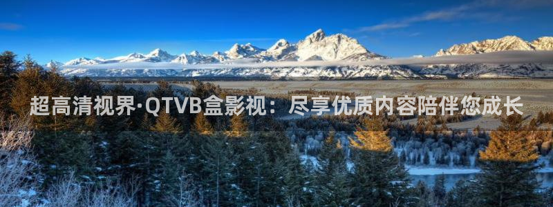 老司机在线看